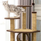 OEM/ODM squisiti comodi dell'interno di aspetto della struttura di scalata del gatto disponibile fornitore