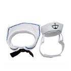 Gatti stabiliti della marina che indossano alla moda amabile dei vestiti qualsiasi logo disponibile fornitore