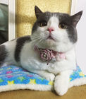 I collari dell'animale domestico/il collare su ordinazione dolci gatto del fiore personale hanno personalizzato il logo fornitore