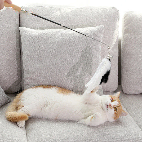 Giocattolo flessibile della bacchetta del gatto, bastone ritrattabile multicolore del giocattolo del gatto con la piuma fornitore