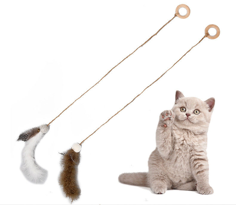 Giocattoli interattivi divertenti del gatto con i chip della plastica di Rod pp dell'acciaio inossidabile fornitore