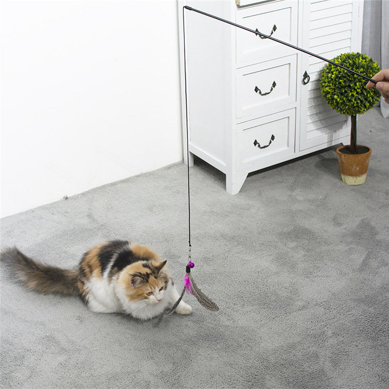 Giocattoli interattivi del gatto del rompicapo in serie su ordinazione della bacchetta per il gioco dell'interno dei gatti fornitore