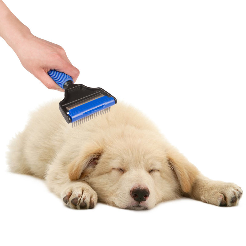 Dimensioni pettine dei peli di cane di 10.2cm * di 20, logo su misura professionista della spazzola della pelliccia del gatto fornitore