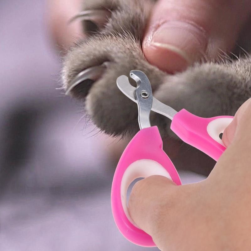 Forbici rosa del chiodo dell'animale domestico di colore, progettazione ergonomica della smerigliatrice del chiodo di pedicure dell'animale domestico fornitore