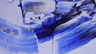 Logo personalizzato per collare per animali domestici con fiore carino