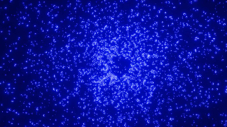 Moderni giocattoli divertenti per il tiragraffi per gatti