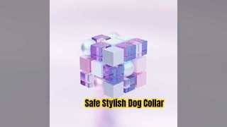 Collare per cani riflettente facile da pulire