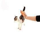 Spazzola materiale della mano dell'animale domestico di TPR, dimensioni lavabile 13 * 8.5cm del pettine di Dematting dell'animale domestico fornitore