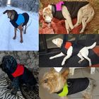 Il cane impermeabile ricopre, vestiti caldi/maglia/rivestimento dell'inverno del cucciolo fornitore