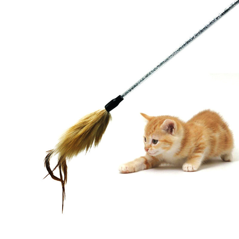 Il giocattolo sveglio del gatto del rompicapo di Kitty, gatto interattivo gioca il bastone della piuma per il gattino fornitore