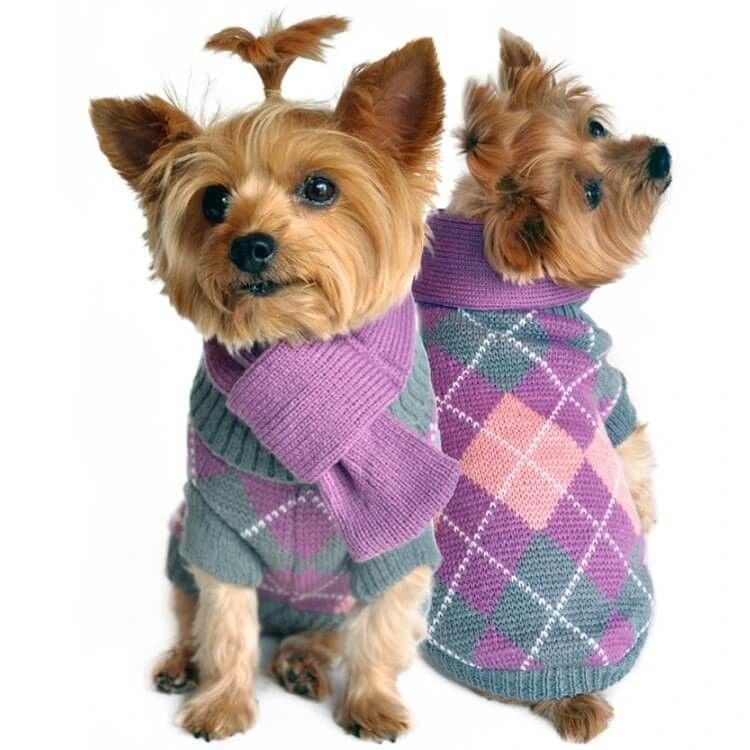Progettazione su ordinazione della stampa dei vestiti del cane del cotone tricottata fumetto dei vestiti di inverno dell'animale domestico fornitore