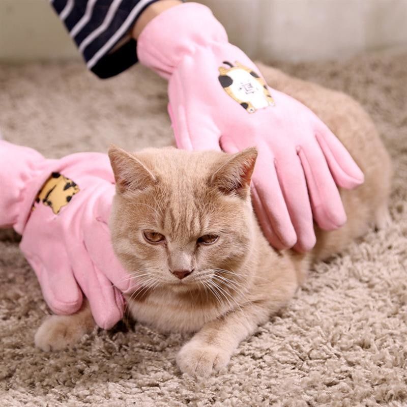 Guanto professionale rosa di pulizia del bagno dei guanti governare dell'animale domestico per il gatto/cane fornitore